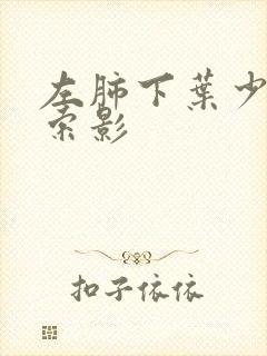 左肺下叶少许条索影