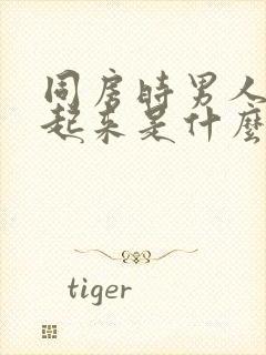 同房时男人硬不起来是什么原因