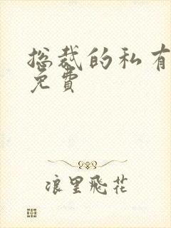 总裁的私有宝贝免费封面