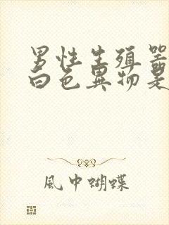 男性生殖器溢出白色异物是怎么回事