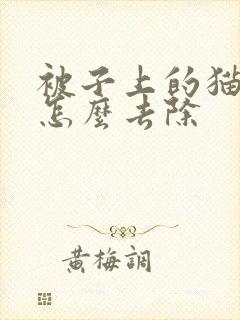 被子上的猫尿味怎么去除封面