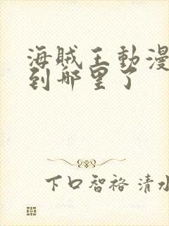 海贼王动漫更新到哪里了