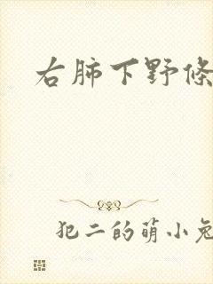 右肺下野条索影