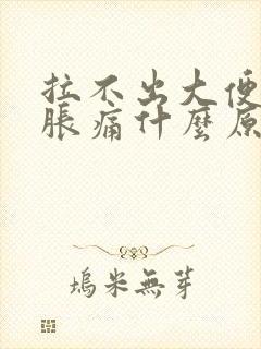 拉不出大便肚子胀痛什么原因