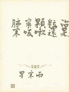 肺宁颗粒治疗风寒咳嗽还是风热咳嗽?