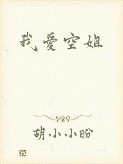 我爱空姐封面
