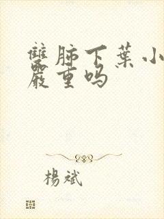 双肺下叶小结节严重吗