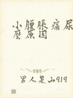 小腹胀痛尿频什么原因