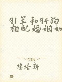 91羊和94狗相配婚姻如何封面