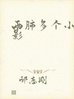 两肺多个小结节影