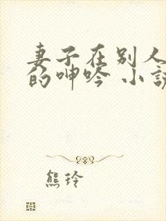 妻子在别人身上的呻吟 小说封面