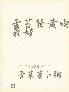 舌苔发黄吃啥药最好