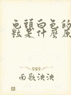 龟头白色的小颗粒是什么原因