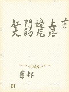 肛门边上有黄豆大的疙瘩封面