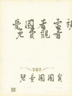 爱国者 电视剧 免费观看