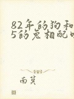 82年的狗和75的兔相配吗