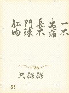 肛门长出一个小肉球不痛不痒