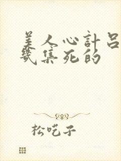 美人心计吕雉第几集死的封面