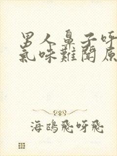 男人鼻子呼出的气味难闻原因