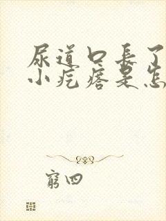 尿道口长了一圈小疙瘩是怎么回事