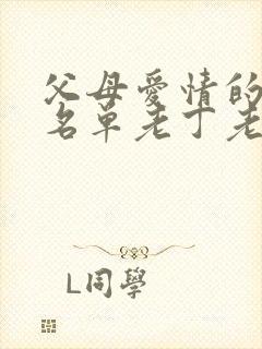 父母爱情的演员名单老丁老婆