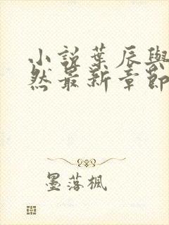 小说叶辰与萧初然最新章节封面