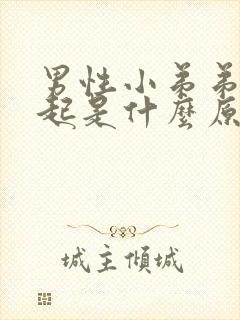 男性小弟弟硬不起是什么原因