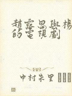 赵露思与杨洋演的电视剧封面