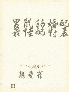 男鼠的婚配属相最佳配对表