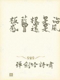 板蓝根是治风寒感冒还是风热感冒