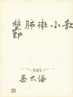 双肺微小散在结节封面