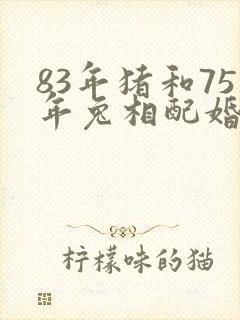 83年猪和75年兔相配婚姻如何