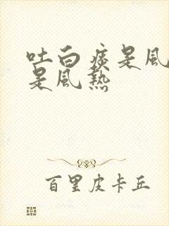 吐白痰是风寒还是风热