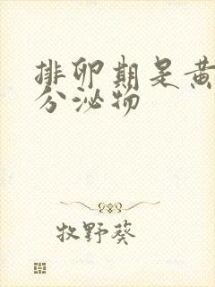 排卵期是黄色的分泌物封面