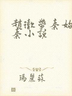 赵彻带秦始皇反秦小说