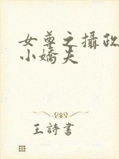 女尊之摄政王的小娇夫