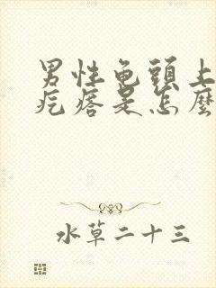 男性龟头上长小疙瘩是怎么回事封面