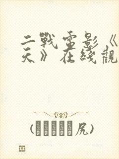 二战电影《67天》在线观看