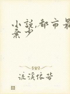 小说,都市最强弃少