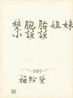 双胞胎姐妹许多小说说封面