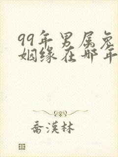 99年男属兔的姻缘在哪年