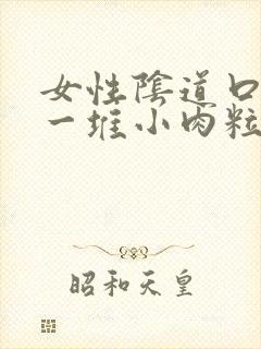 女性阴道口起了一堆小肉粒