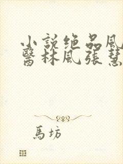 小说绝品风流狂医林风张慧的免费阅读