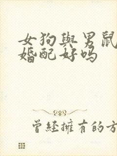 女狗与男鼠属相婚配好吗