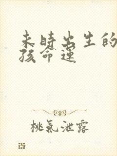 未时出生的羊男孩命运封面