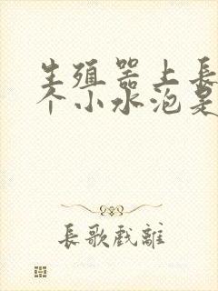 生殖器上长了一个小水泡是怎么回事