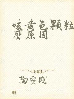 咳黄色颗粒痰什么原因