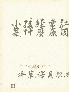 小孩经常肚子疼是什么原因封面