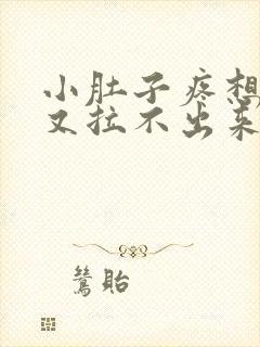 小肚子疼想拉屎又拉不出来