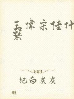 王伟宋佳什么关系封面